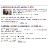 眉山朱安安：SEO外链代发行业大揭密